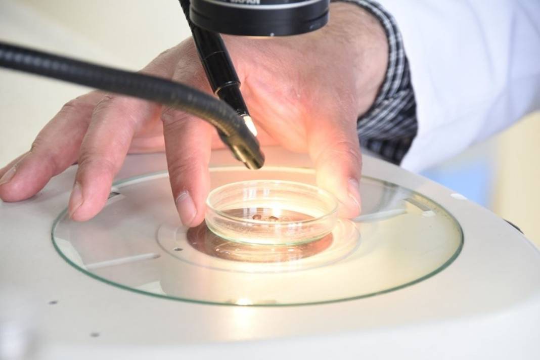 Bu illerde yaşayanlar dikkat: İnsanların gölgesini ve kokusunu algılıyor! Ölümcül olabilir 4